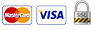 visa master ssl logo